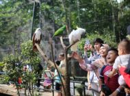 Kisah Berdirinya Kebun Binatang Bandung