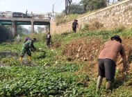 Dua Hari Satgas Sektor 21-03 Cidurian Bersihkan Sungai dari Eceng Gondok