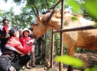 Kasus Kebun Binatang Bandung Kini Memasuki Babak Baru