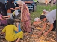 Warga Ramai-ramai Punguti Telur Usai Kecelakaan Pikap di Labusel