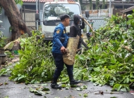 Ratusan Pohon Tumbang di Bandung Raya, Farhan Nilai Situasi Sudah Mendekati Bencana